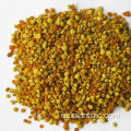 Abeja polen granular orgánico abeja polen granular